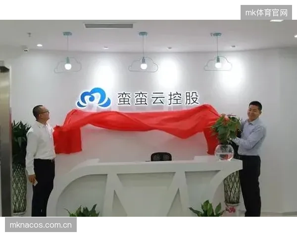 定制化服务能力增强 体育产业链协同差异化竞争优势凸显
